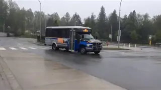 Buses at Carvolth Exchange - May 2017