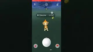 Catching and evolving Chimchar Pok&eacute;mon GO