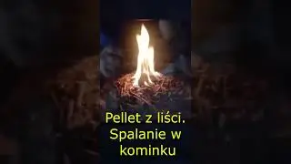Pellet z Liści #shortvideo