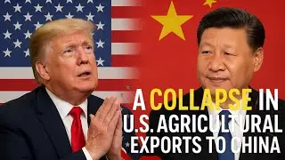 TRUMP Finally BEGS China: CHINA Rejects US Agricultural Products 