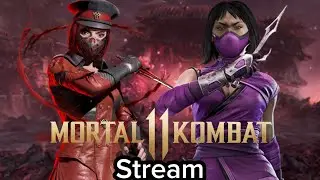 Playing Ranked and doing viewer matches on MK11