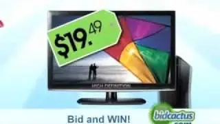 BidCactus Penny Auctions - 30 Second Television Spot
