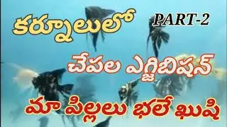 #fish exhibition #kurnool  under water tunnel