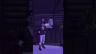 В скоплениях людей заедает, жуть🥲 #sso#starstable#единорог#Сильван