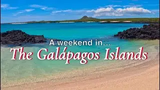 Wild Weekend in the Galapagos Islands | Sea Lions, Tortoises & Epic Snorkeling!