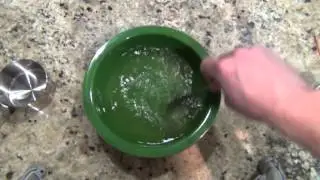 Enzyme Oil Video with Description
