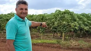 MUITAS PLANTAÇÕES EM BOQUEIRÃO PB, FISEMOS UMA VISITA E LEVAMOS UMA AJUDA NO SITIO PASMADO  VEJA !!
