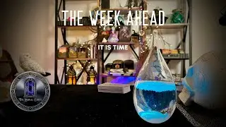 Weekly Codex - The Time is NOW