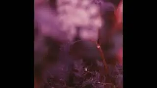 Vaarwell - YOU (Luis Le&oacute;n Reshaped Rainforest)