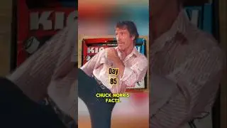 Chuck Norris Facts! Day 85 of 365. Chuck Norris Jokes!