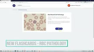 Flashcards - Red blood Cell Pathology - Veterinary Learning Content