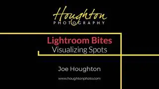 Lightroom Bites #001 - Visualising Spots