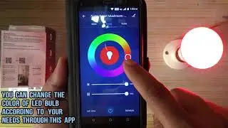How To Setup Syska Smart Light | Syska Smart Home App | Amazon Alexa App