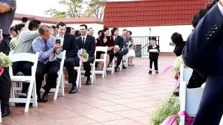 cutest ring bearer