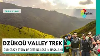Lost in Dzukou Valley Trek | Nagaland | Drone view