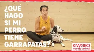 🐶Cómo quitar garrapatas a mi perro