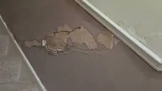 Damp survey - Conflicting advice.