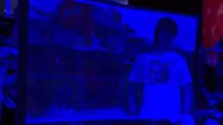 Dyrus With the house on fire