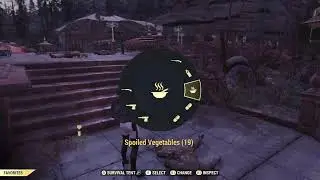 Fallout 76 Booster Level!!