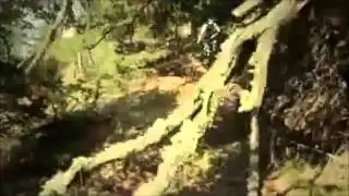 The new Radon Slide 150 and the Super-Enduro Swoop in action!