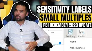 Small Multiples, Sensitivity Labels AND MORE from Power BI December 2020 Feature Summary Update
