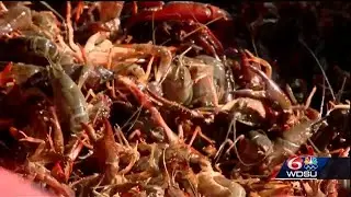 Seafood prices 2020: Here's what prices are looking like in Louisiana