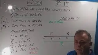FÍSICA: SISTEMAS DE FUERZA COLINEALES