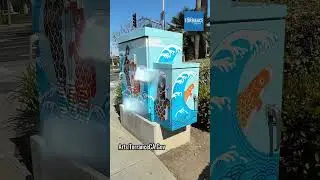 Newly decorate Utility boxes!