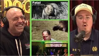 Joe Rogan & Shane Gillis - Wild Bear ATTACKS and the Haunted Comedy Club