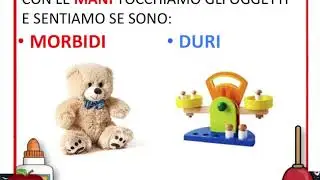 Il tatto - PRIMA PRIMARIA