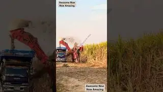 New amazing sugarcane harvesting, crushing and collecting heavy machinery for large scale farming