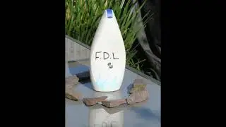 college project FDL