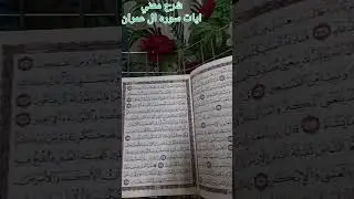 شرح معني ايات سوره ال عمران من الايه ٤٦ للايه ٥٢ #القرآن_الكريم #المصحف 