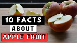 10 Surprising Facts About Apple Fruit You Need to Know !