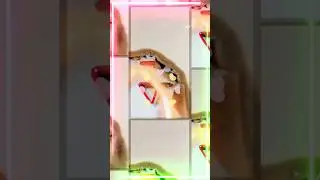 Allah Name art #allah #youtubeshorts #shortsfeed #explore #handmade #subscribe #shorts #art #islamic