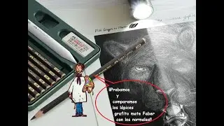 Lápices grafito mate