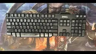ASMR Typing on a Black DELL RT7D50 Wired USB Keyboard