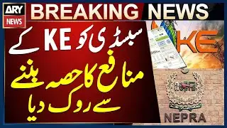 Subsidy has been blocked from becoming part of K-Electric&rsquo;s profits - Breaking News