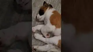 Turn up the volume