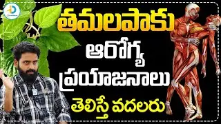తమలపాకు సీక్రెట్స్ | Amazing Health Benefits of Betel Leaves | Tamalapaaku Benefits | iD Post Health