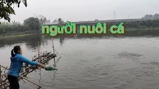 Đầm cá nước ngọt học kỹ thuật nuôi cá ở sông bồ thành phố Huế @nongnghiep_hn #thủysinh 