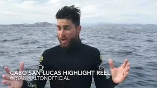 Cabo San Lucas Wildlife Expedition Highlight Reel with Ryan Walton