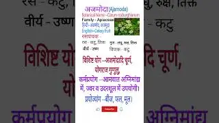 Rasapanchak l Ajmoda ke fayde | celery ke fayde in hindi | Celery benefits | celery juice ke fayde |