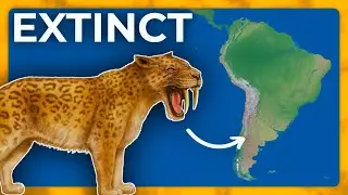 Every Extinct Animals from South America, Mapped