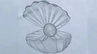 Beautiful Pearl in Shell Drawing | Easy Pencil Sketch Tutorial