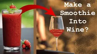 From Smoothie to Homemade Wine?