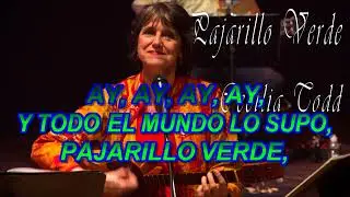 PAJARILLO VERDE   CECILIA TODD   KARAOKE SONIDO ORIGINAL