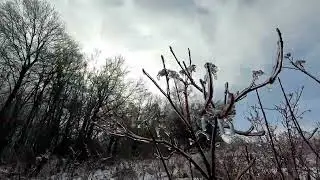Saigon Trail after Ice Rain - 4K