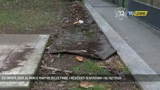 ESTIRPATE SIEPI AL PARCO MARTIRI DELLE FOIBE: I RESIDENTI SI DIVIDONO | 02/02/2026