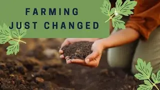 Unique Agriculture Business Ideas That Will Dominate Nigeria in 2026